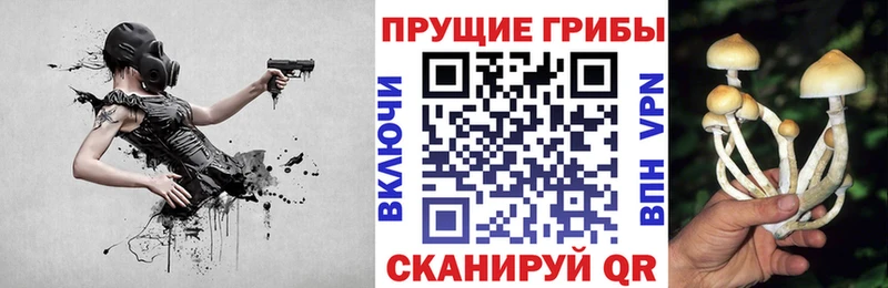 Псилоцибиновые грибы мицелий  Можайск 